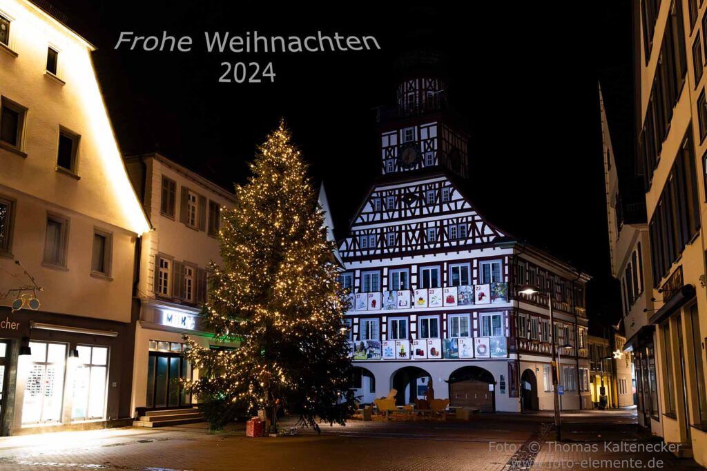 Christbaum neben dem Rathaus in Kirchheim unter Teck professionell fotografiert von Thomas Kaltenecker